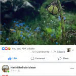 Dr. Ashitha S R