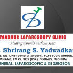 Dr. Shrirang Yadwadkar