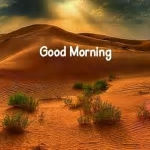 Dr. Shyam Kishore